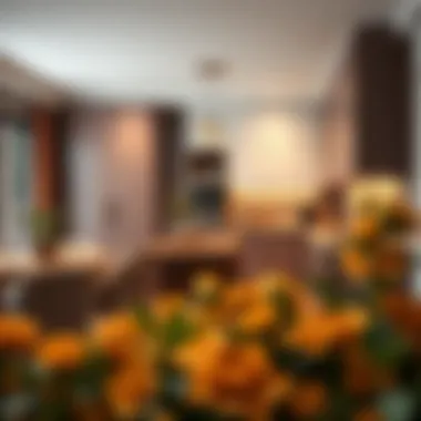 Elegant kitchen featuring a harmonious color palette