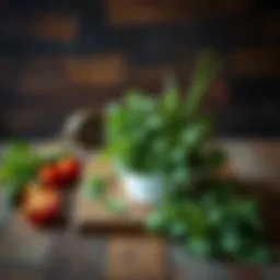 Fresh herbs displayed elegantly on a rustic wooden table