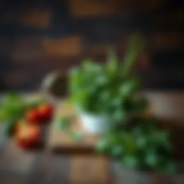 Fresh herbs displayed elegantly on a rustic wooden table