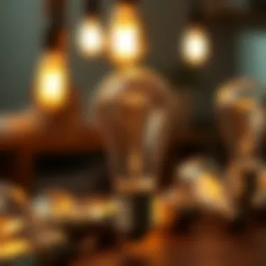 Different types of light bulbs