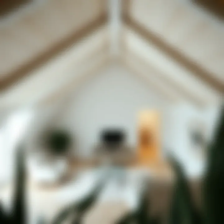 Elegant loft-style attic with open layout