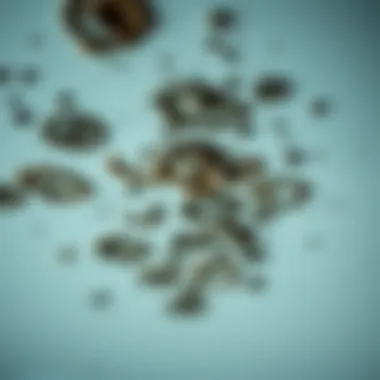 Mold growth on bathroom ceiling surfaces