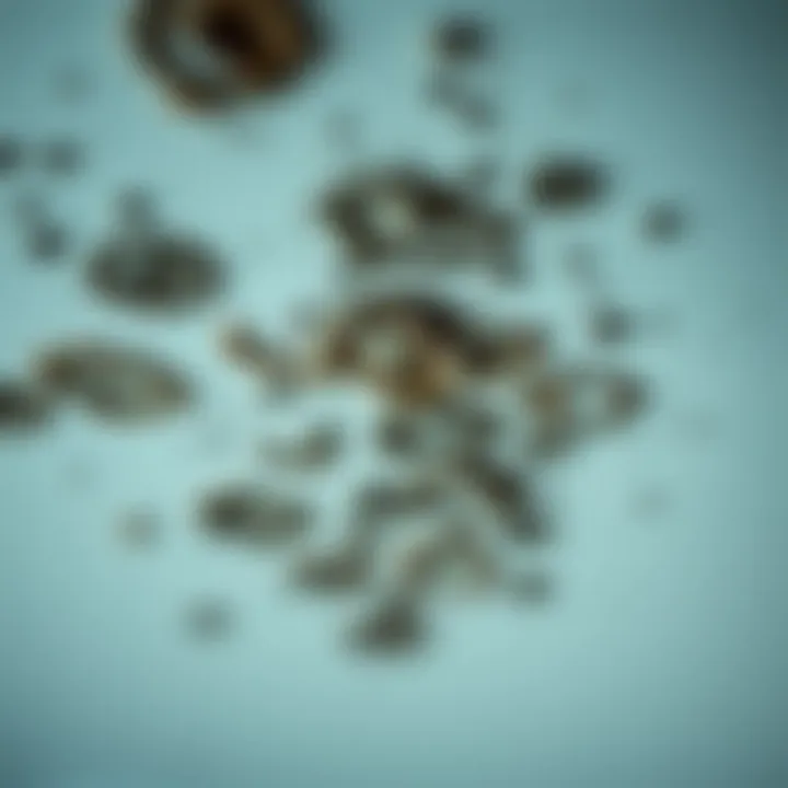 Mold growth on bathroom ceiling surfaces