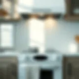 A pristine white glass stove reflecting natural light.