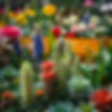 A diverse array of plants in a vibrant garden setting