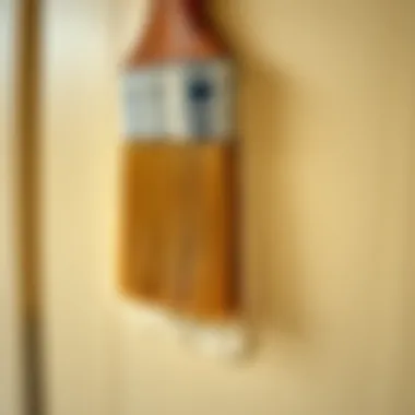 Close-up of Paint Application on Varnished Door A close-up of a brush applying paint on a varnished door.
