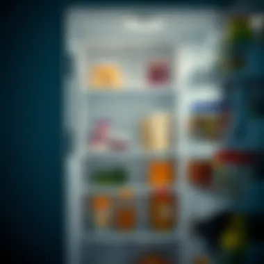 Clean refrigerator interior showcasing organized shelves