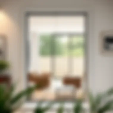 Elegance in Transparency: The Beauty of Maintained Glass A beautifully maintained glass door in a modern home