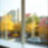 A pristine window reflecting natural light