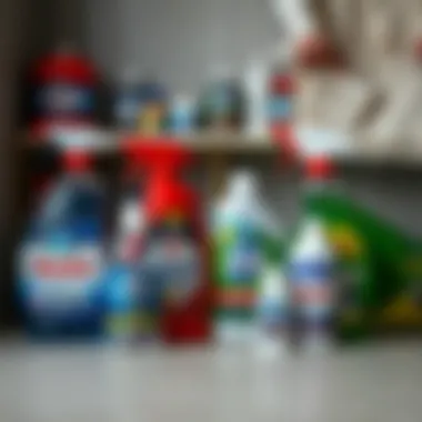 Chemical cleaning agents arranged neatly