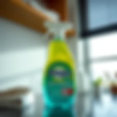 Choosing the right detergent for wall cleaning