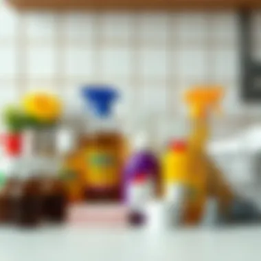 Cleaning materials arranged neatly