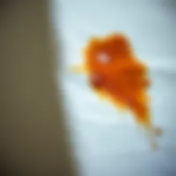 A close-up of fabric with a stubborn stain