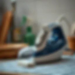 Cleaning tools for iron maintenance