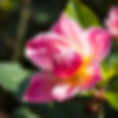 A close-up view of a beautiful flower blooming with enhanced growth