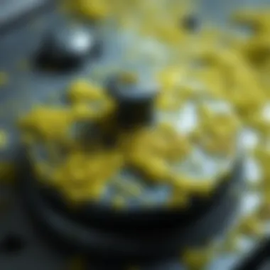 Close-up of iron soleplate with algae growth