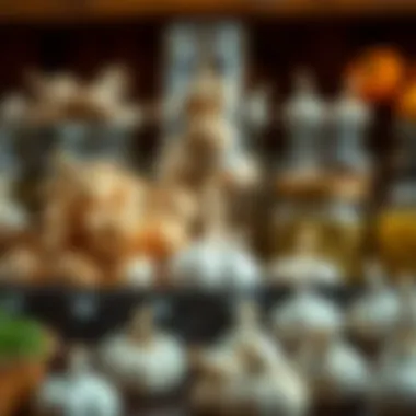 Various garlic storage methods displayed