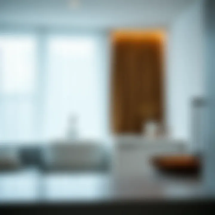 Contemporary kitchen showcasing minimalist curtain styles