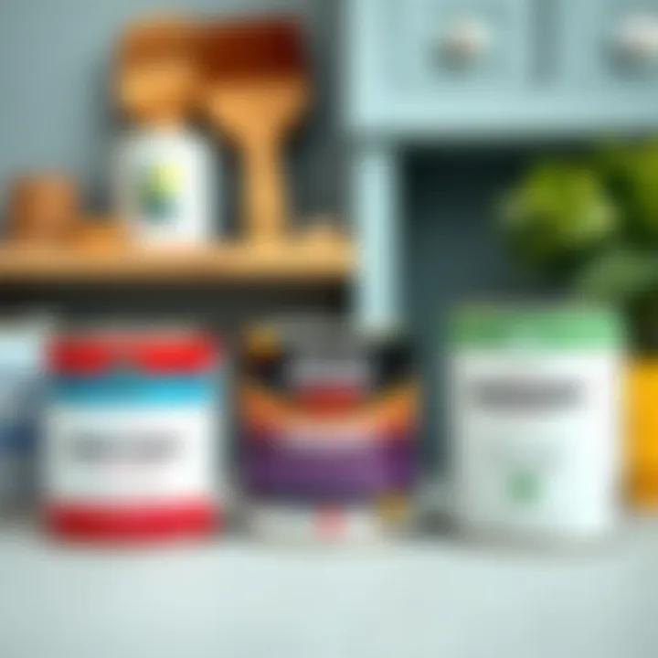 Different types of paint cans for cabinet painting.