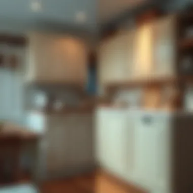 Dramatic Before and After of Cabinet Painting Before and after cabinet painting