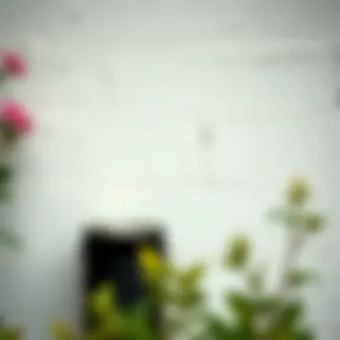 Weather-Resistant Exterior Paint Durable exterior paint protecting a wall from weather