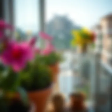 Eco-friendly balcony project showcasing flowers