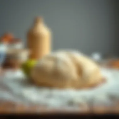 Ready-to-Bake Kneaded Dough Kneaded dough ready for the baking process