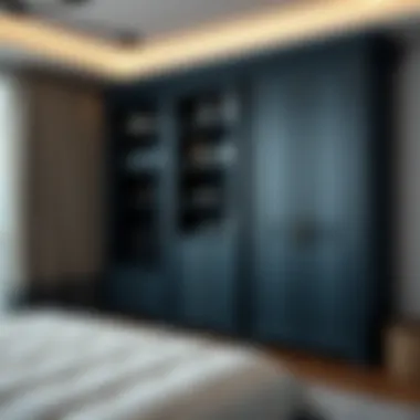 Finished elegant wardrobe design