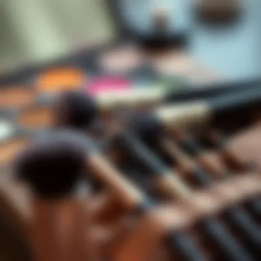 Elegant brush set for eyeshadow application