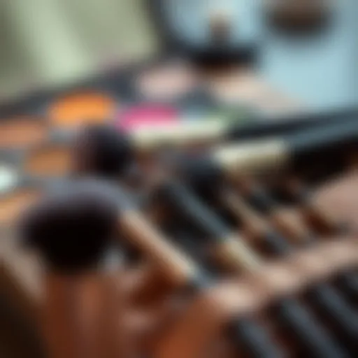 Elegant brush set for eyeshadow application