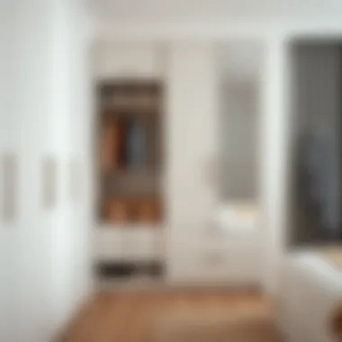 Innovative storage solutions integrated into wardrobe designs