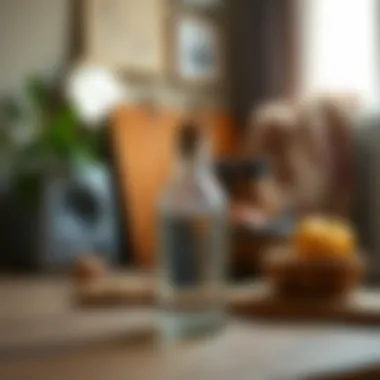 Homemade Solutions for Odor Elimination Homemade solutions for eliminating odors