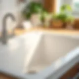 A clean kitchen sink with a fresh scent