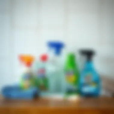 Cleaning supplies for wall stains