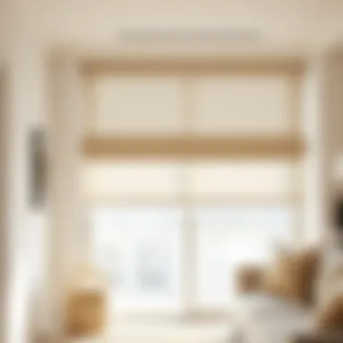 Contemporary sheer shades for a light and airy ambiance