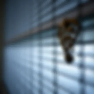 Close-up of beautifully crafted blinds showcasing intricate details