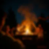 Campfire gathering under the stars