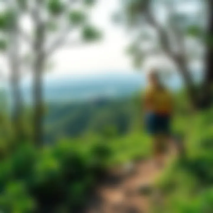 Hiking in lush greenery