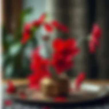 Creative arrangement using red peace flowers in a handmade project.