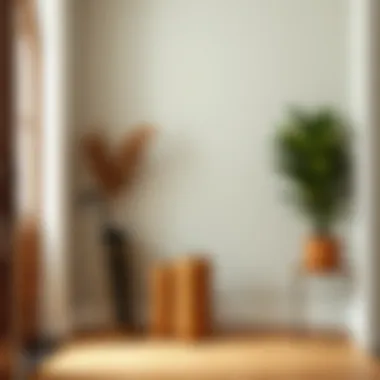 Aesthetic arrangement of Koçtaş umbrella stands in a stylish entryway