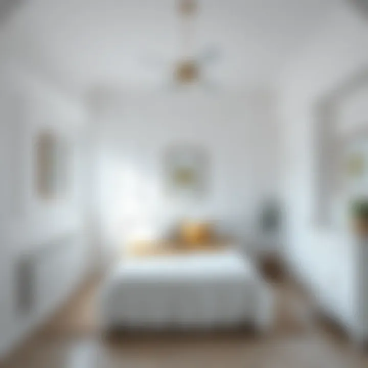 A vibrant room painted in fresh white paint