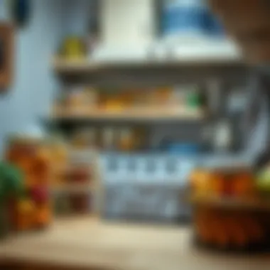A cozy kitchen setting with canned food being stored properly