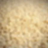 Luxurious plush carpet texture