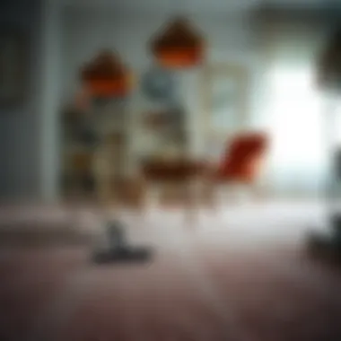 Precautionary measures to take when cleaning carpets