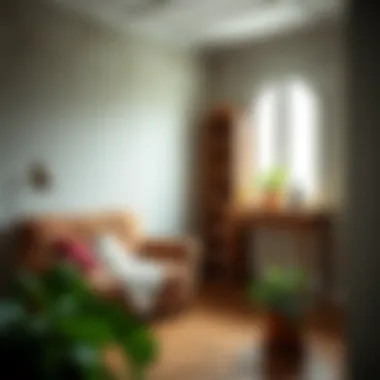 Preventive measures against mold growth