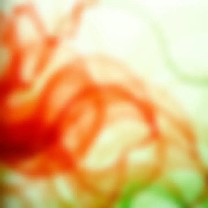 A harmonious blend of red and green colors in an abstract art piece