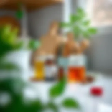 Natural remedies displayed on a clean countertop to eliminate damp smell