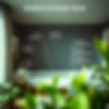 A diagram illustrating the sources of damp odor in a home