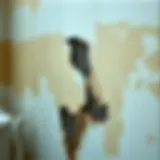 A clear view of damp walls showing discoloration