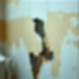 A clear view of damp walls showing discoloration